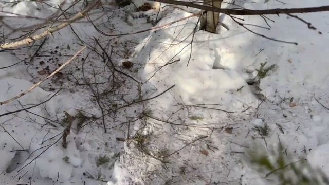 Я СМОГ ПЕРЕЖИТЬ ШТОРМ В МАЛЕНЬКОЙ ИЗБЕ | ВЫЖИВАНИЕ В ГОРАХ смотреть онлайн