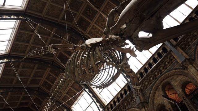 48 Hours in London – Cinematic Weekend Getaway!