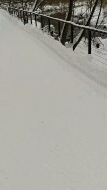 Необычный снег на деревьях в Москве смотреть онлайн