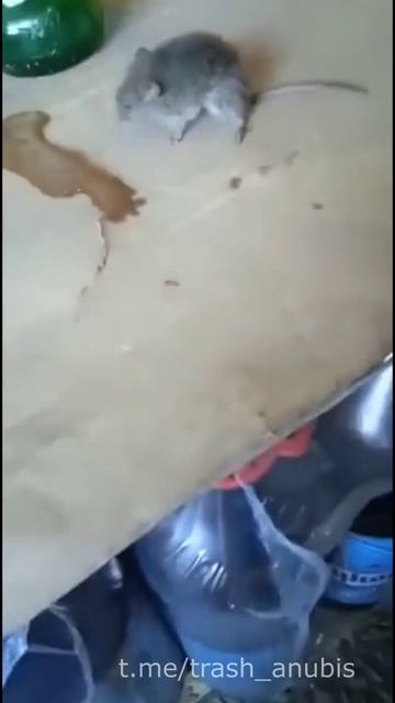 у каждого есть такой друг