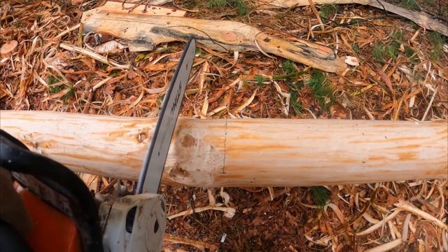 КУПИЛИ УЧАСТОК в ЛЕСУ и НАЧАЛОСЬ! СТРОИМ НОВЫЙ ДОМ в ГЛУШИ СВОИМИ РУКАМИ - Жизнь в лесу смотреть онлайн