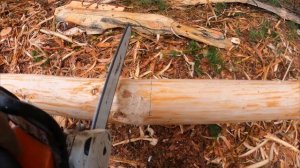 КУПИЛИ УЧАСТОК в ЛЕСУ и НАЧАЛОСЬ! СТРОИМ НОВЫЙ ДОМ в ГЛУШИ СВОИМИ РУКАМИ - Жизнь в лесу