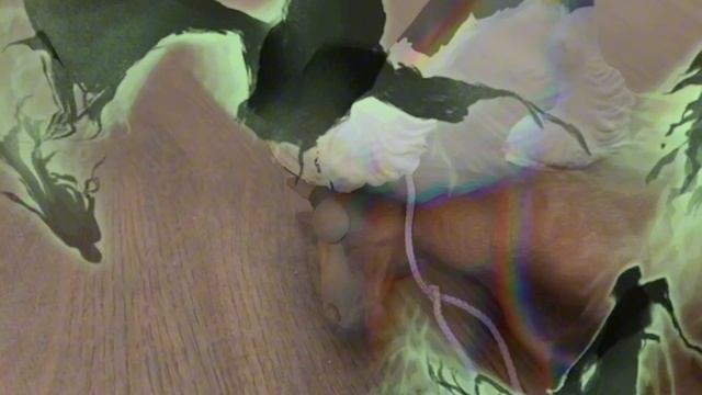 Сериал игра в песне 2 серия 1 сезон