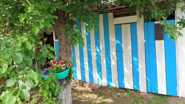 День России встречаем на даче.