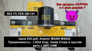 Распил масляного фильтра BIG FILTER GB-141. Аналог MANN W6025