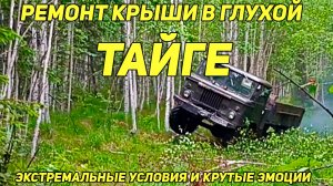 Тайга — лучший учитель Урок №1 Крыша — это роскошь