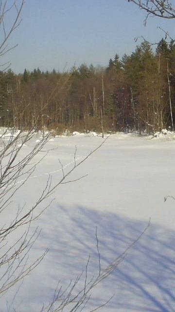 (25) Библия Евангелие от Иоанна глава 6 стих 64-71 смотреть онлайн