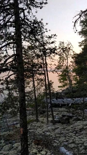 Полярный день Белое море смотреть онлайн