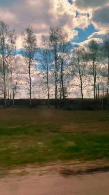 Мистер лис ❤️ #music #diy #drawing #art #рек смотреть онлайн