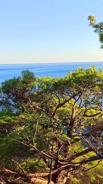 АВТОКЕМПИНГ. ОТДЫХ В БЕТТЕ