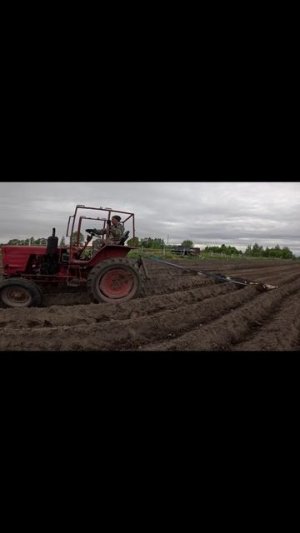 Закопал картошечку!