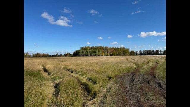 7841222 смотреть онлайн