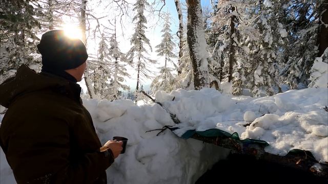 ВЫЖИТЬ ПОД СНЕГОМ! СНЕЖАНКА - ЗЕМЛЯНКА за ЧАС - ВЫКОПАЛ И ЗАНОЧЕВАЛ в ЛЕСУ - ОДИН В ЛЕСУ - Лесные смотреть онлайн