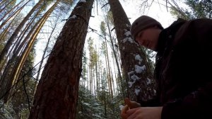 24 ЧАСА В ЛЕСУ С РЫЖИМ ЗВЕРЕМ - БАЗОВЫЙ ЛАГЕРЬ, РЕФЛЕКТОР, ЕДА НА УГЛЯХ, БУШКРАФТ