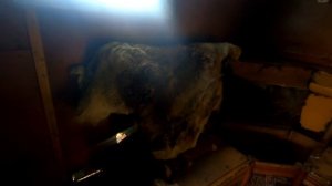 НАШЛИ БРОШЕННЫЕ ИЗБЫ СЕВЕРЯН | СИБИРСКИЙ ХАРИУС - ГИГАНТ | ДИКАЯ КУХНЯ - ОЛЕНИНА НА КАМНЕ