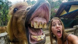 Смешное видео людей, лучшие приколы | Подборка лучших приколов |Смешные видео с людьми и животными