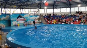 Дельфинарий