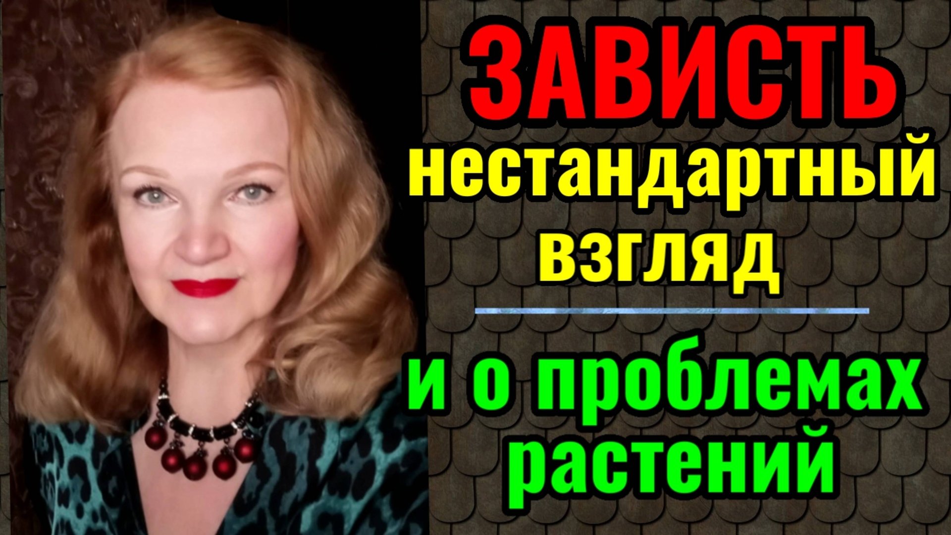 Почему зависть полезна. И как я решаю проблемы моих комнатных растений. смотреть онлайн