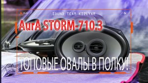 Топовые коаксиальные овалы в полку! AurA STORM-710.3