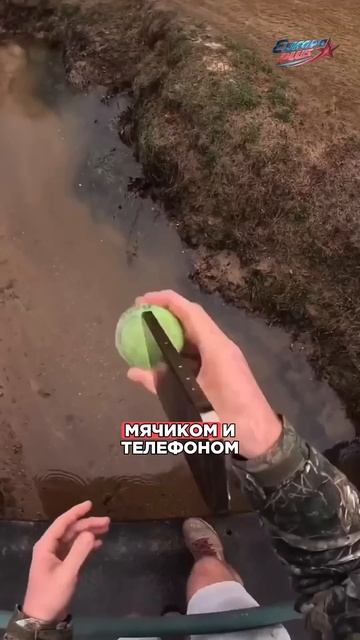 Он ИГРАЕТ на твоих НЕРВАХ! #нервы #трюки #сверхспособности #shorts смотреть онлайн