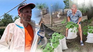 В деревне вся жизнь в движении