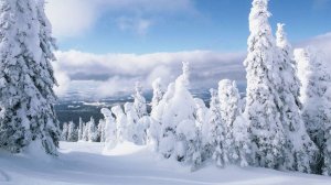 Группа «Пикник» – «Ой, мороз, мороз»