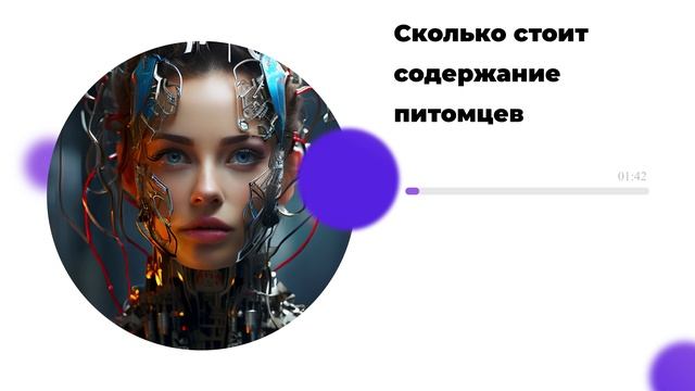 Сколько стоит содержание питомцев смотреть онлайн