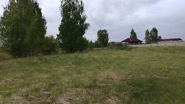 Елисееивичи