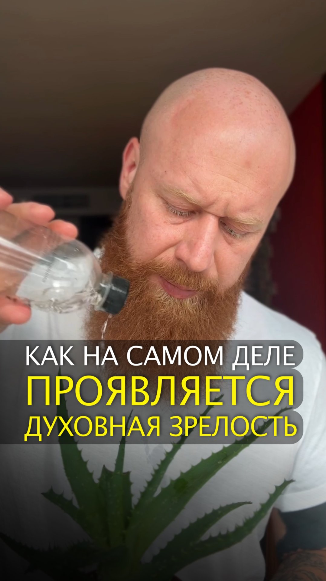 Как на самом деле проявляется духовная зрелость смотреть онлайн