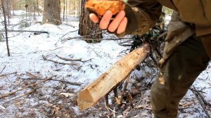 Добывание огня чагой - Техника трения об дерево | Starting a Fire with Chaga