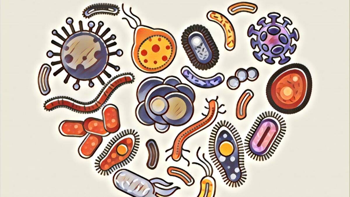Паразиты: 3 миллиарда лет вместе. Всё,что вы хотели знать о паразитах,но боялись спросить. 2 ЗАНЯТИЕ смотреть онлайн