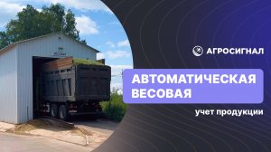 Автоматическая весовая в АгроСигнал