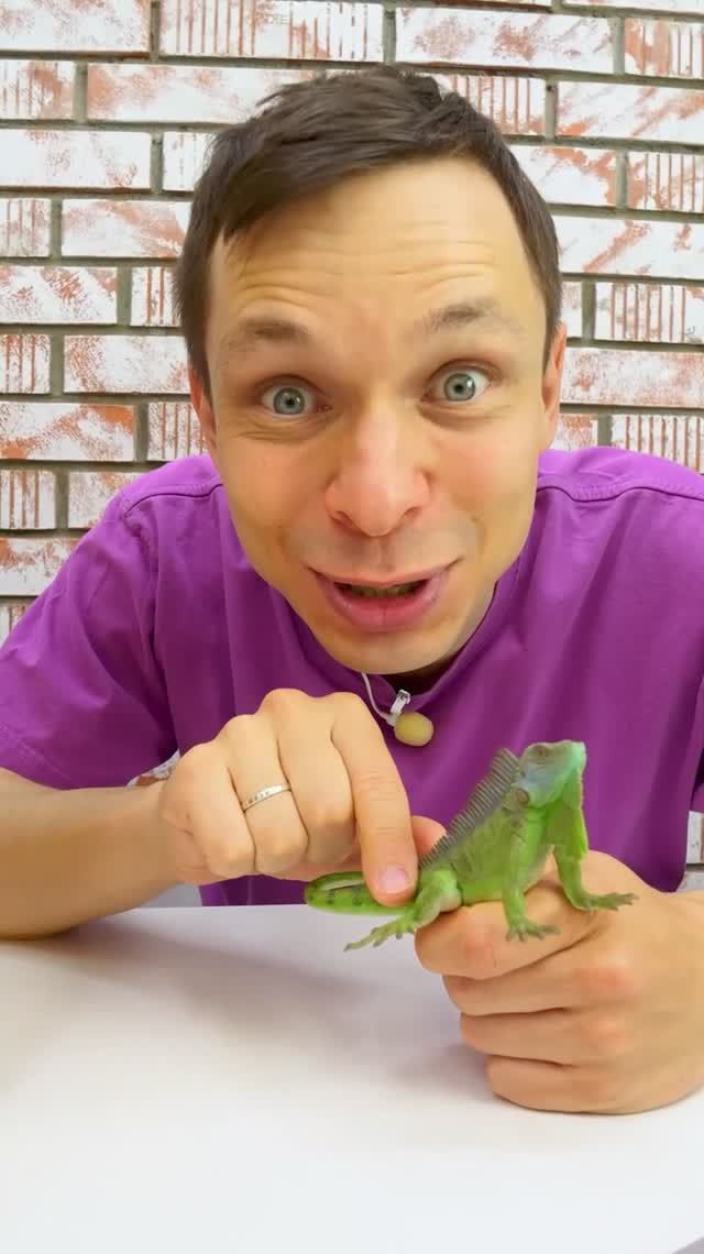 Федя возвращает игуану домой – в зелёные джунгли! 😊🦎 #длядетей #игрушкидлядетей #животныедлядетей смотреть онлайн