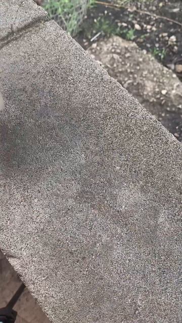 Наклейки из растений #art #drawing #арт #рисование #diy #music смотреть онлайн