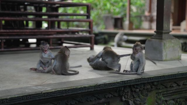 04. Bali 2023 _ Cinematic Travel Video