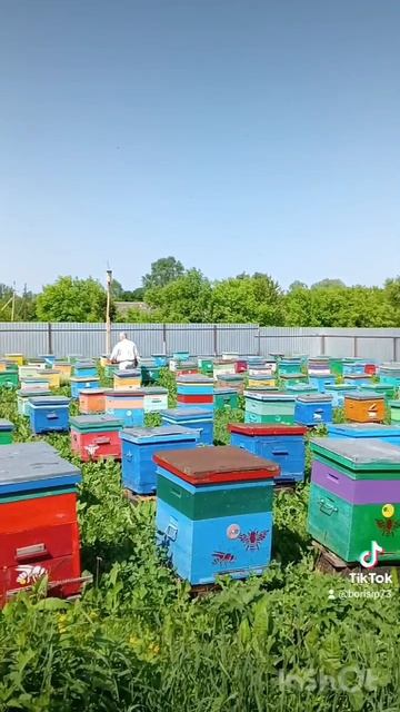 моё детище 🐝🐝🐝🐝🐝♥️♥️♥️♥️♥️ смотреть онлайн
