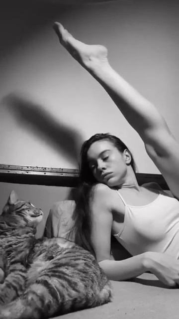 Котяра в шоке