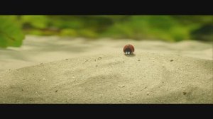 Букашки 2 — Русский трейлер (2019)