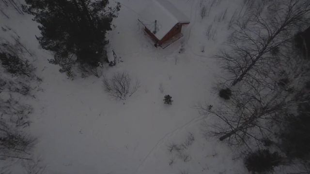 СТРОИТЕЛЬСТВО ДОМА В ЛЕСУ: ЖИЗНЬ СРЕДИ СНЕГОВ. КАК НАЛАДИТЬ ЖИЗНЬ И БЫТ В ЛЕСУ смотреть онлайн