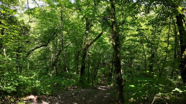 DJI_0024 смотреть онлайн