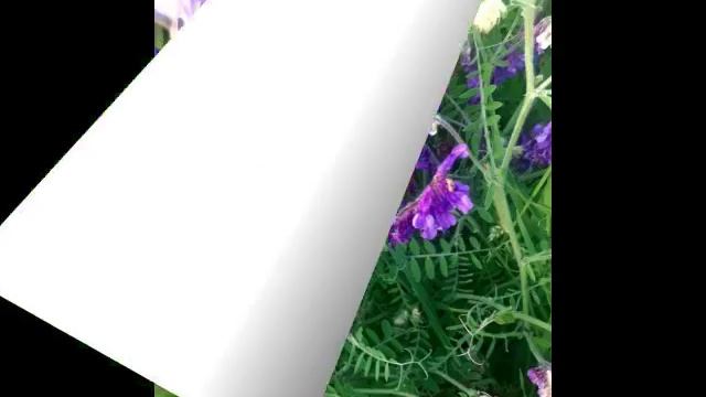 Красота природы.mp4 смотреть онлайн