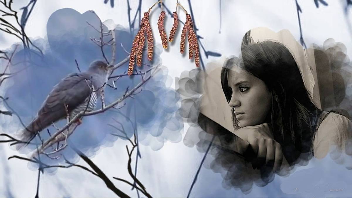 КУКУШКА смотреть онлайн