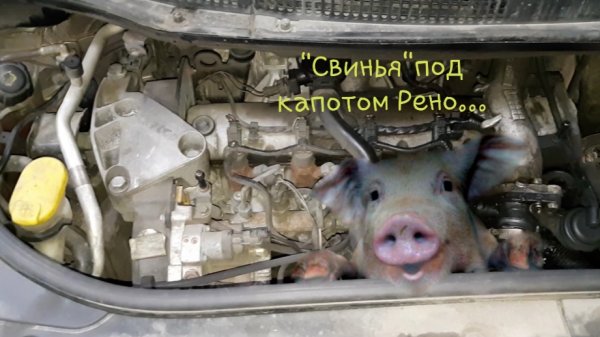 Подборка Жесть на СТО #32-33.Свинья под капотом Рено.Разорвало редуктор.Турбина " покинула чат".