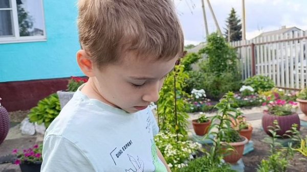 16-06-2025  Жизнь в деревне 🏡