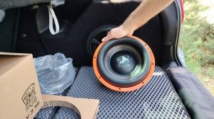 Обзор сабвуфера DL-AUDIO Gryphon lite 10 v.3 SE