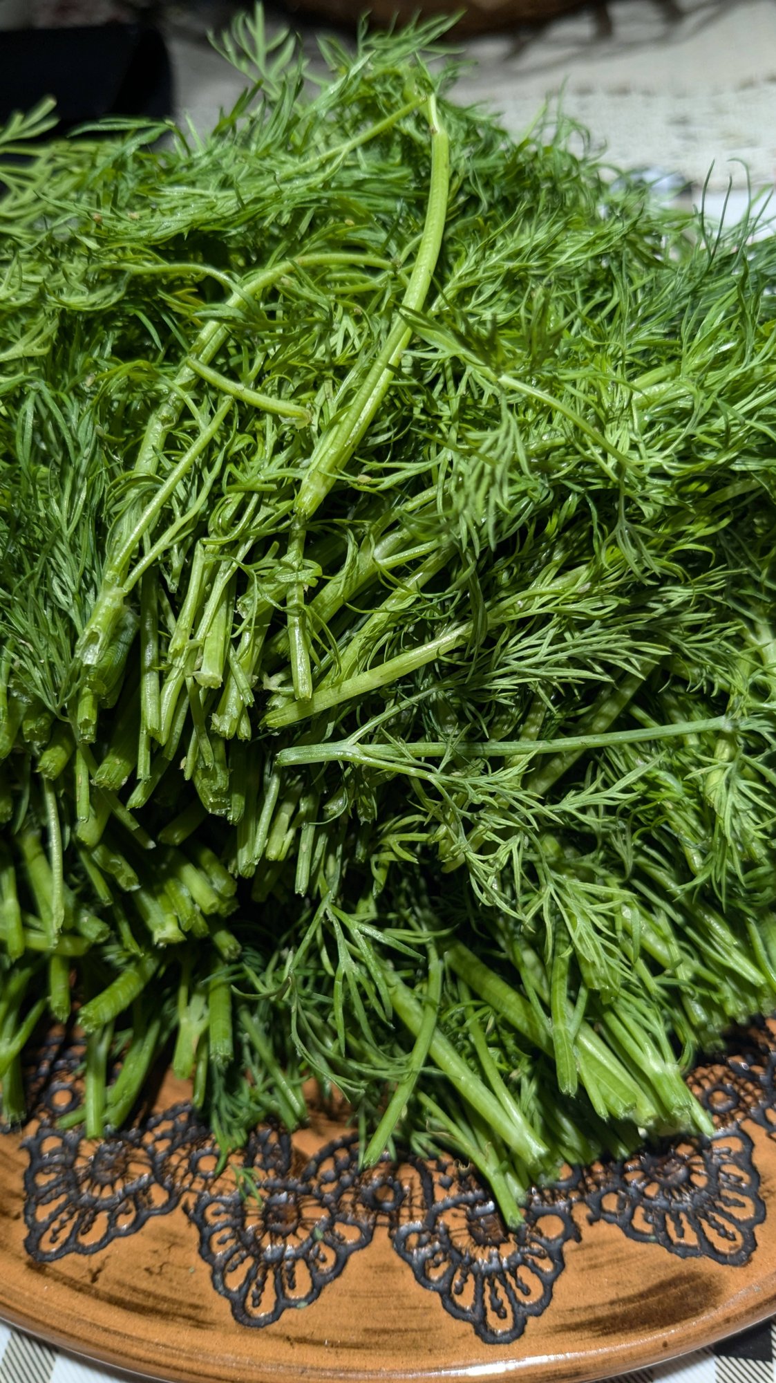 Подготовка укропа к заморозке. Поездка в больницу. 16 июня. смотреть онлайн