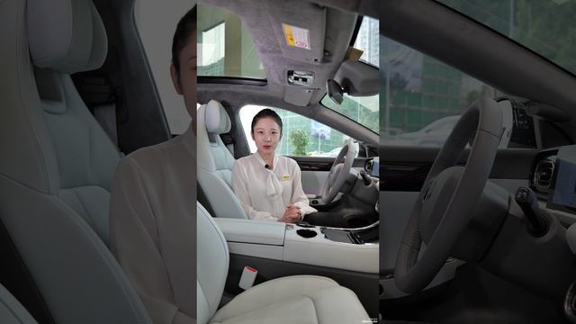 Инструкция Leapmotor C01 смотреть онлайн
