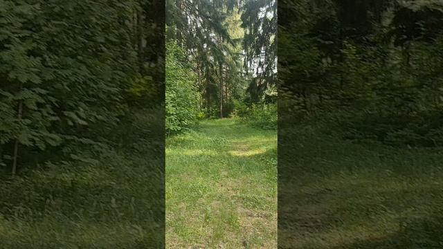 (22) Библия Евангелие от Иоанна глава 6 стих 28-39 смотреть онлайн