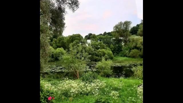 Люблю природу и винтажную эстетику.mp4 смотреть онлайн