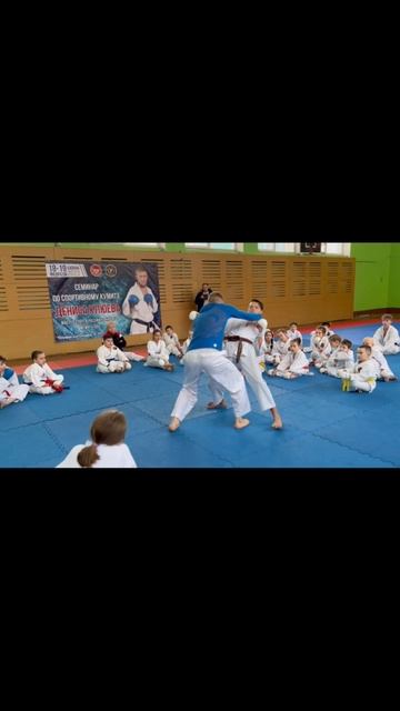 Семинар Дениса Клюева. Спортивное Каратэ. Кумитэ, броски
#каратэ #кумитэ #броски